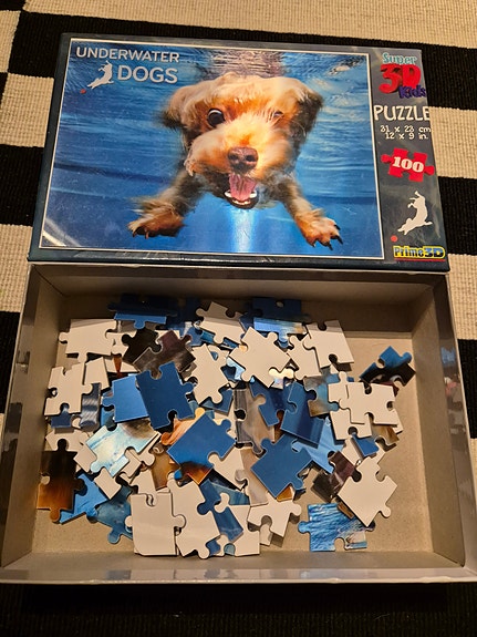 3D palapeli 100