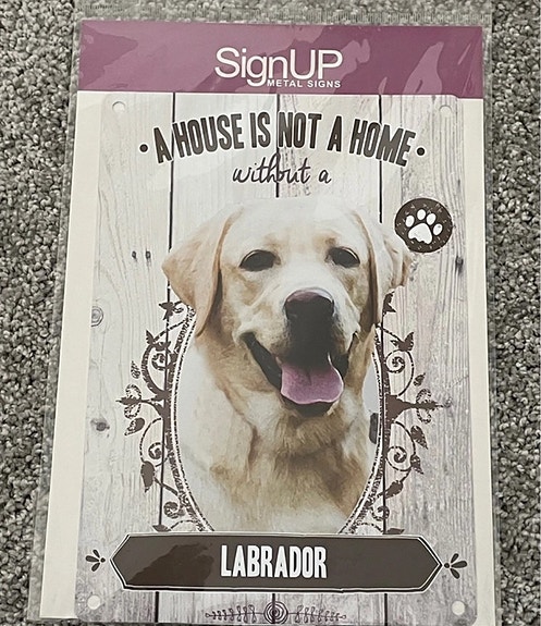 Labrador-kyltti