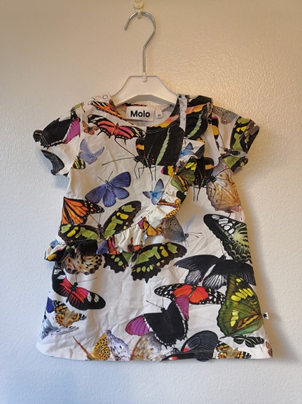 Molo mekko 80