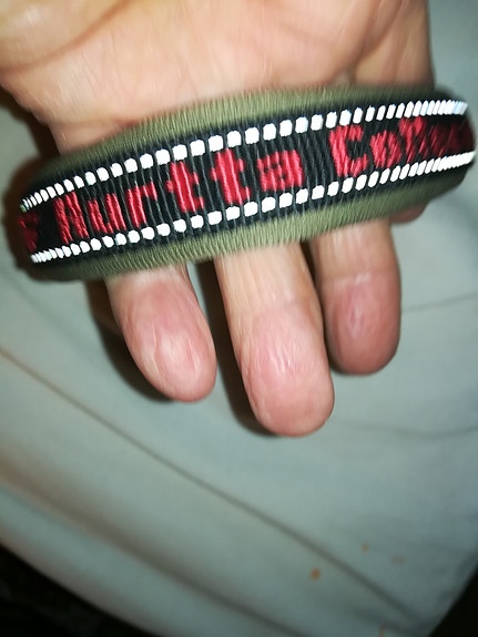 Koiran panta