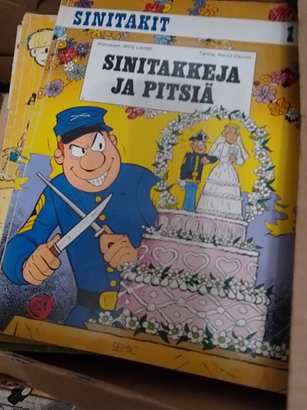 Sinitakkeja ja pitsiä