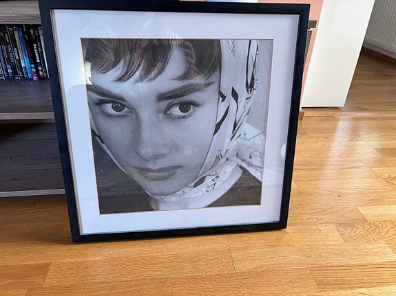 Audrey Hepburn-taulu