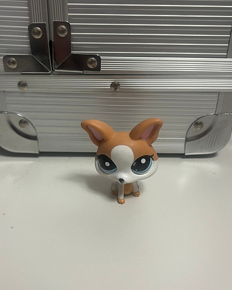 LPS koira