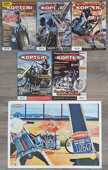 Kopteri lehtiä 6kpl.