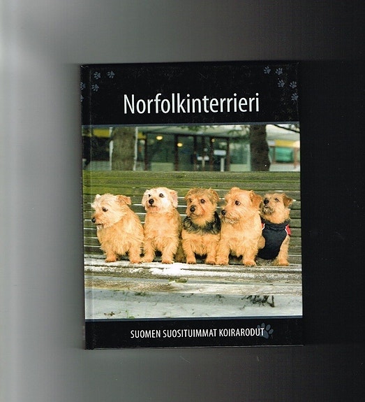 Norfolkinterrieri - Suomen suosituimmat koirarodut
