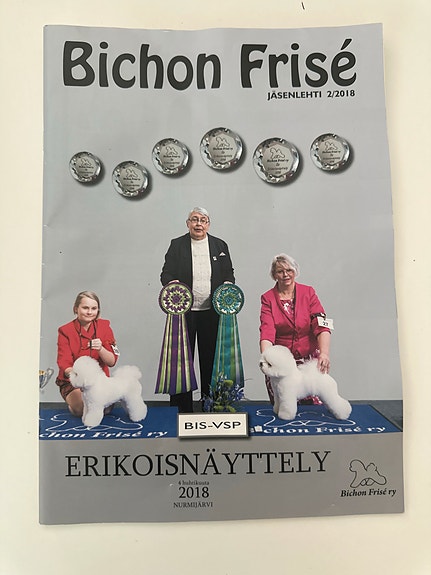 Bichon frise 2/2018 lehti
