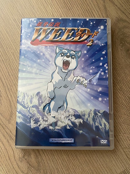 Hopeanuolen poika 2 DVD