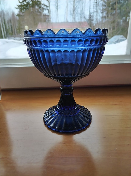 Mustikansininen mariskooli