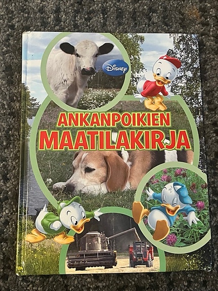 Ankanpoikien maatilakirja