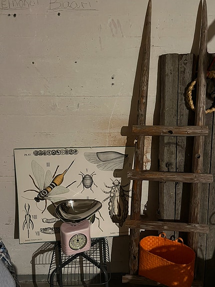 Heinäseiväs tikkaat.   Jämsänkoski