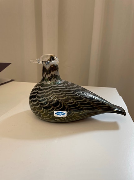 Oiva Toikan lintu, ehkä Pyy.