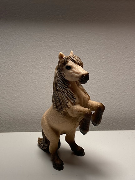 Shetlanninponi ori