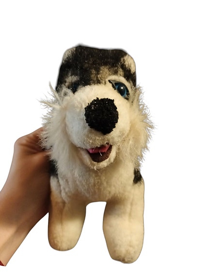 Husky pehmolelu