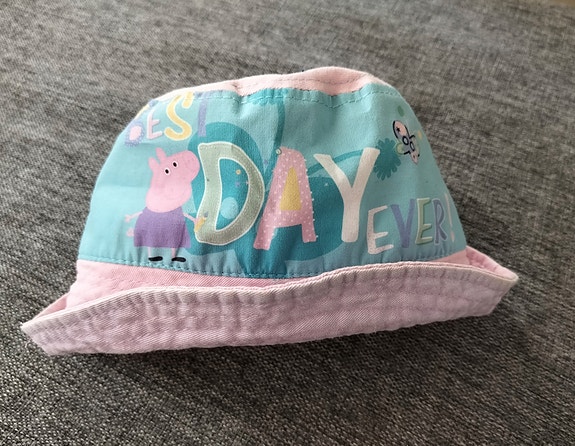 Pipsa possu kesähattu