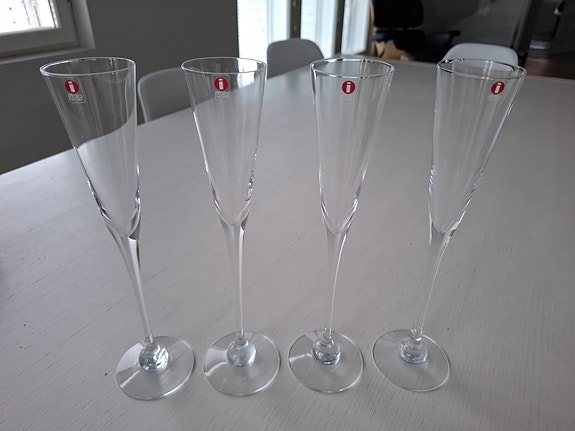 Iittala Aurora kuohuviinilasi 4kpl