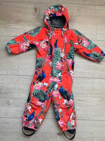 Molo talvihaalari 92/98