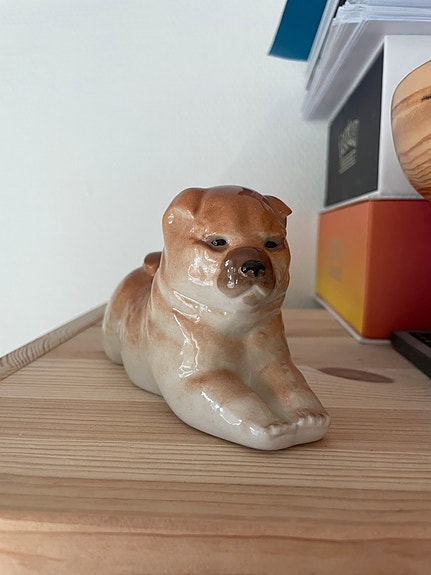 Lomonosov chow chow koira