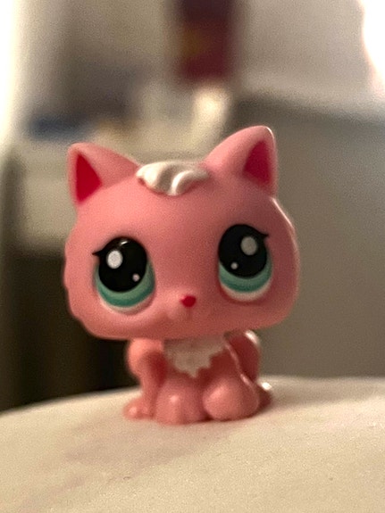 lps kissa