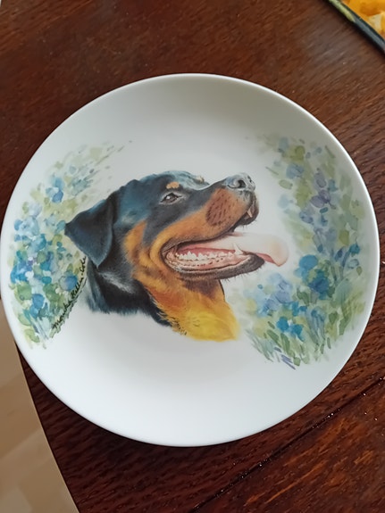 Seinälautanen koira