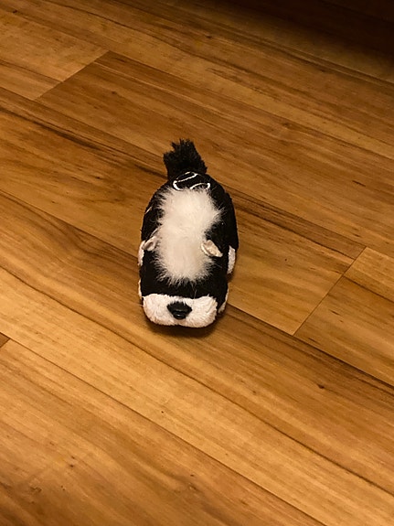 Zhu zhu pets lelu