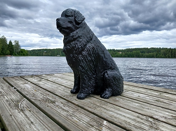 Product image 5 of 9