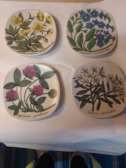 Ester Tomula  Botanica seinälautaset