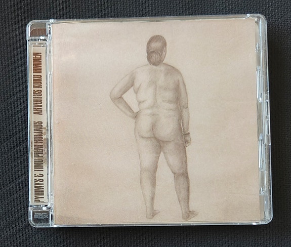 Pyhimys & Timo Pieni Huijaus - Arvoitus koko ihminen cd