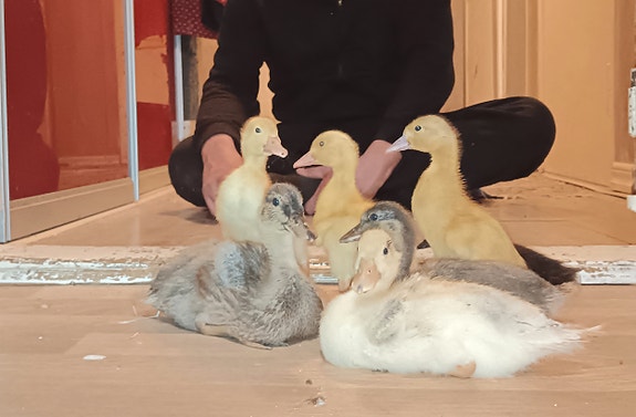 Product image 3 of 7