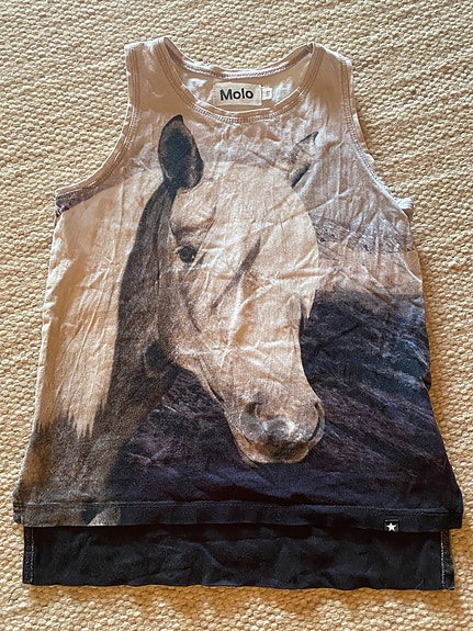 Molo heppatoppi 110