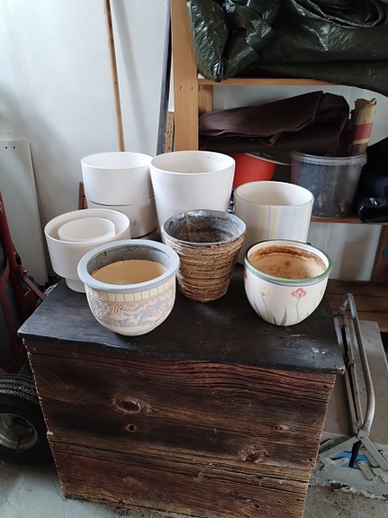 Kukkaruukkuja
