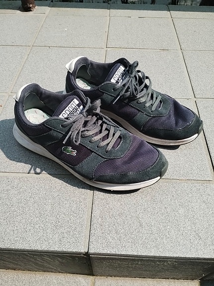 Lacoste lenkkarit 42