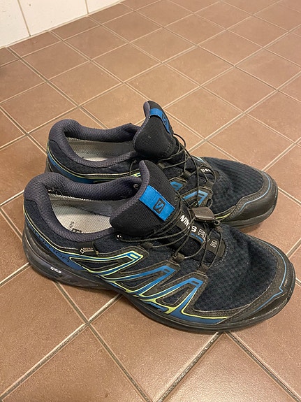 Salomon Wings Flyte 2 Gore-Tex
