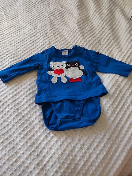 Polarn o pyret body 62