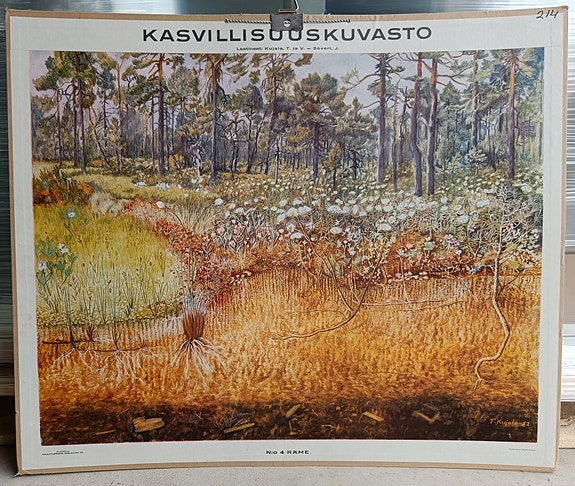 Opetustaulu