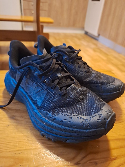 Hoka Speedgoat 6 wide gtx 38