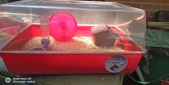 Ferplast Duna hamsterinhäkki punainen