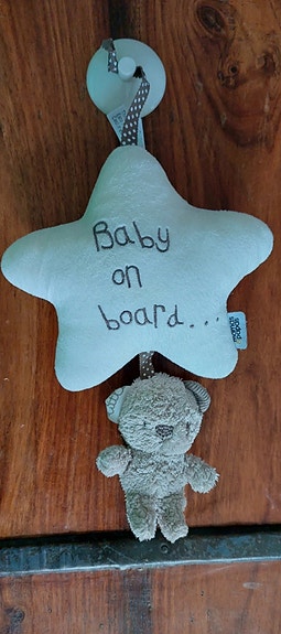 Mamas&Papas Millie & Boris Baby on board