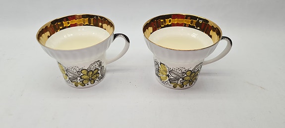Lomonosov Kupit