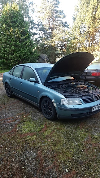Vw audi passat 80 b5 b4 b3 b6 osina