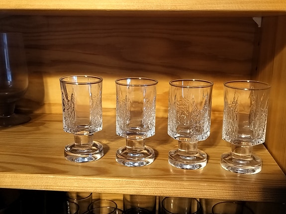 Kalinka, snapsilasit Iittala