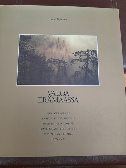Tauno Kohonen: Valoa erämaassa