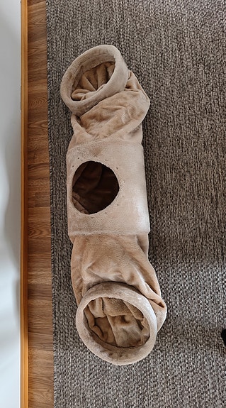 Kissa tunneli