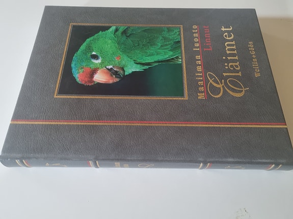 Maailman luonto eläimet linnut