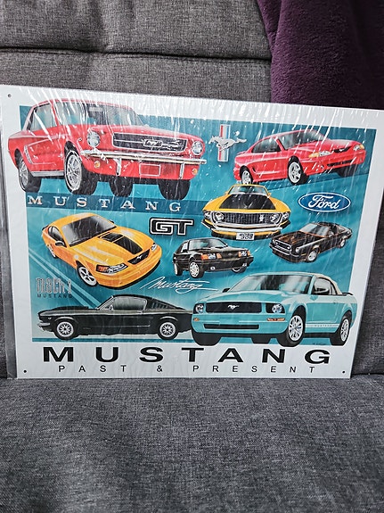 Mustang past & present peltikyltti Uusi