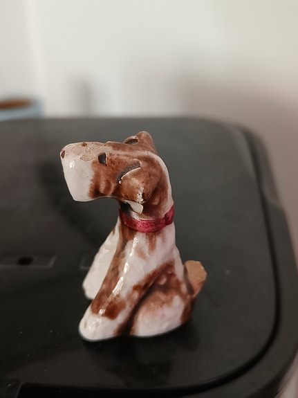 Miniatyyri pikku koira, 5 cm terrieri