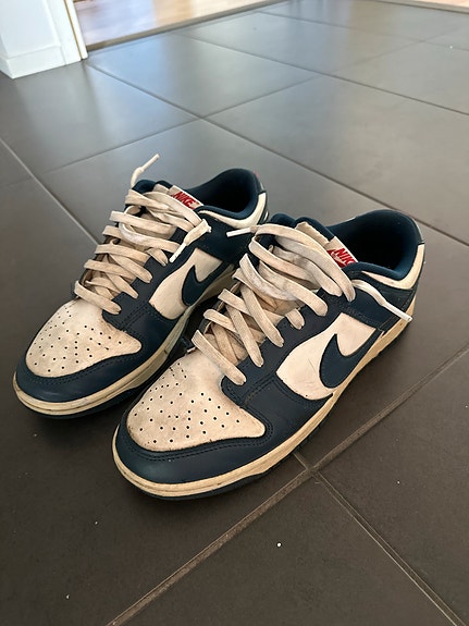 Nike dunk