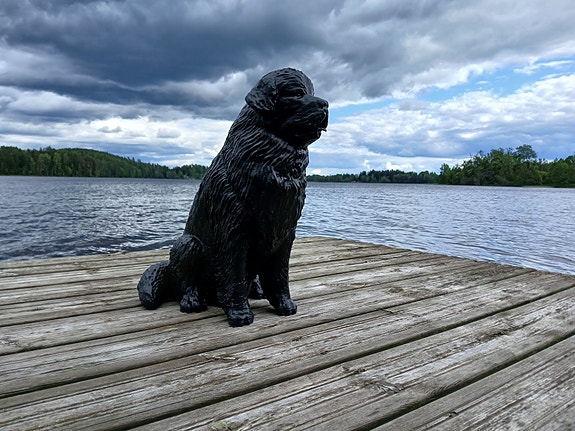 Product image 3 of 9