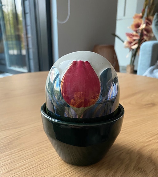 Arabian Ikikukka Punainen tulppaani