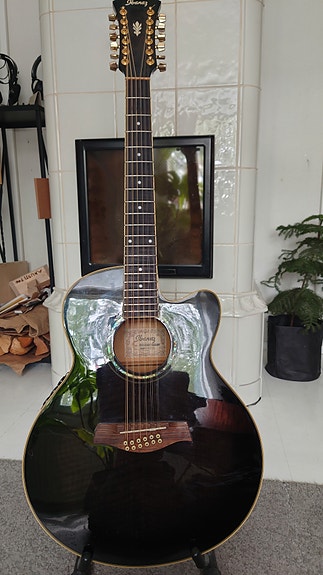 Ibanez AEL2012