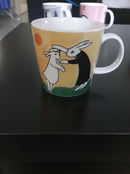 Heljä Liukko-Sundströmin suunnittelema Arabia Ylioppilas pupumuki.